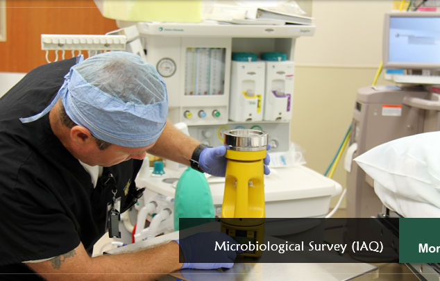 Microbiology Survey